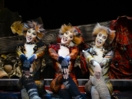 Scene from Cats