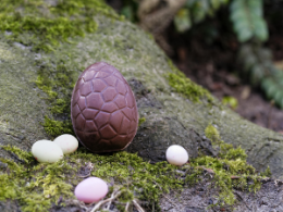 Easter eggs outdoors