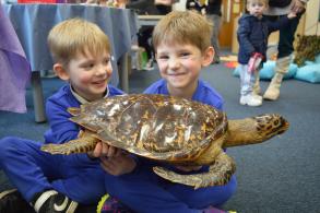 Two children holding a turtle