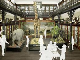 Proposed Natural History Gallery