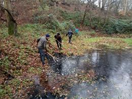 newts_pond_cleaning-web
