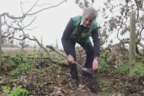 image shows Ipswich Tree Warden volunteer Andy Pink planting in Chantry Park