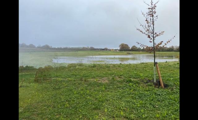 Video of site photos of the Country Park taken November 2023