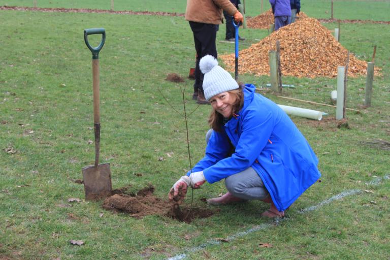 A volunteer helping to plant a tree in Bourne Park