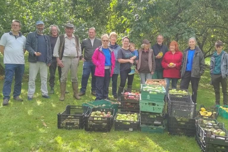 A large group of volunteers stand around crates of apples harvested from