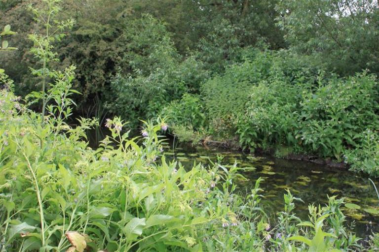 Land - Sproughton Road