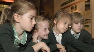 Children at Ipswich Museum