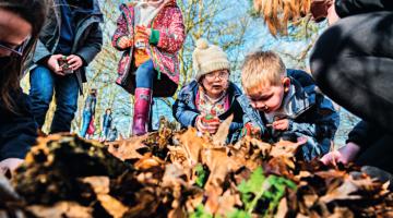 Wild Tots Holywells Park