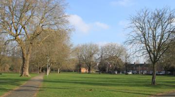 A photo of some trees in Alderman Road Recreation Ground