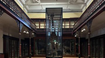 Ipswich Museum Redevelopment