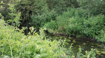 Land - Sproughton Road